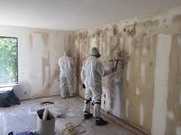 Forensic Mold Investigation in Carbon Hill, AL